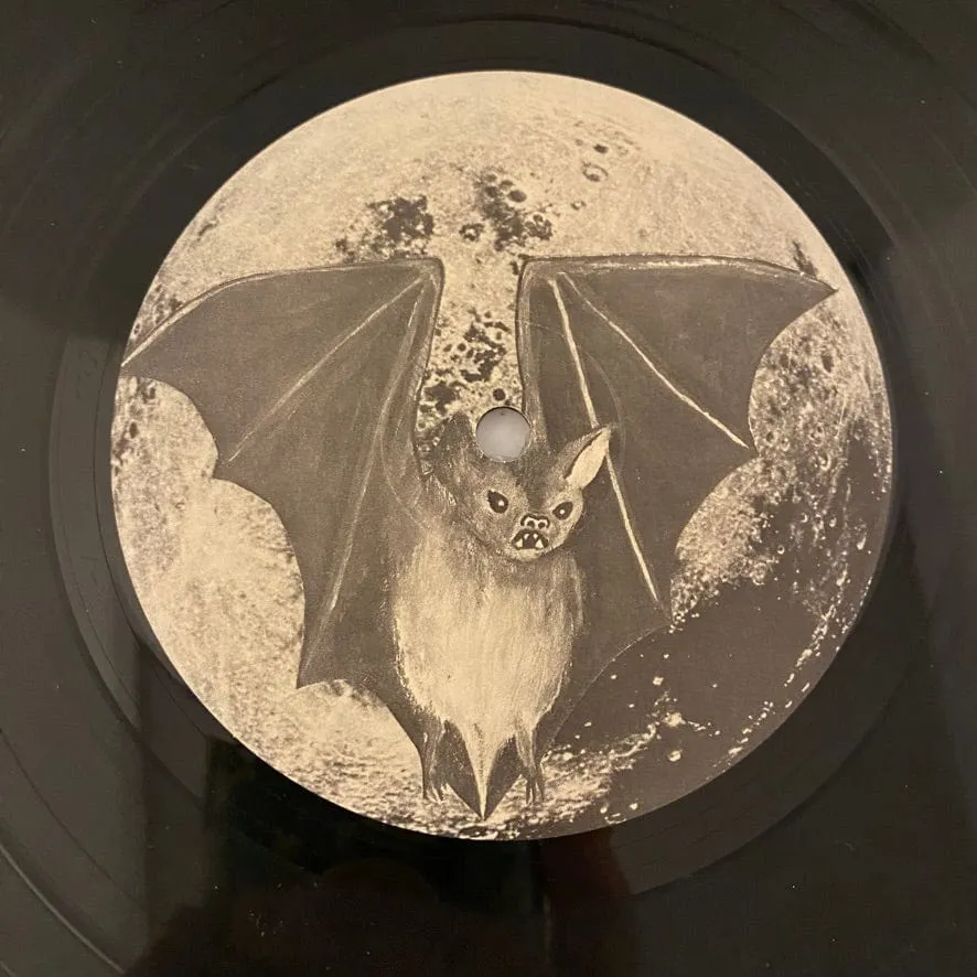 45 Grave – Sleep In Safety LP USED NM/VG  Original 1983 Pressing